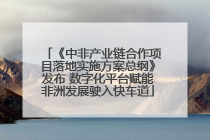 《中非产业链合作项目落地实施方案总纲》发布 数字化平台赋能非洲发展驶入快车道