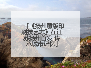 《扬州雕版印刷技艺志》在江苏扬州首发 传承城市记忆