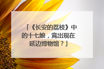 《长安的荔枝》中的十七娘，竟出现在延边博物馆？