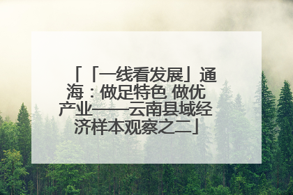 「一线看发展」通海：做足特色 做优产业——云南县域经济样本观察之二