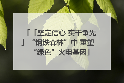 「坚定信心 实干争先」“钢铁森林”中 重塑“绿色”火电基因