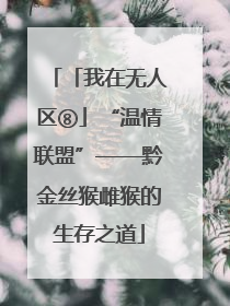「我在无人区⑧」“温情联盟”——黔金丝猴雌猴的生存之道