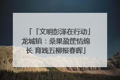 「文明彭泽在行动」龙城镇：桑果盈筐情绵长 育践五柳报春晖