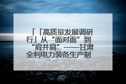 「高质量发展调研行」从“面对面”到“肩并肩”——甘肃全利电力装备生产制造项目一线见闻