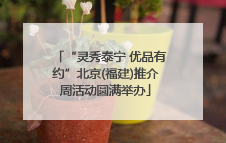 “灵秀泰宁 优品有约”北京(福建)推介周活动圆满举办