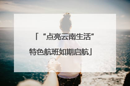 “点亮云南生活”特色航班如期启航