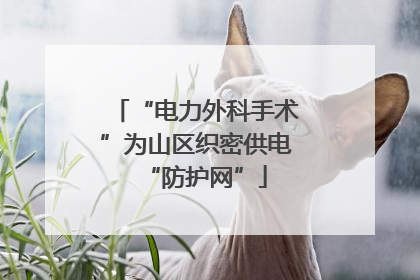 “电力外科手术”为山区织密供电“防护网”