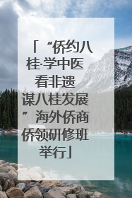 “侨约八桂·学中医 看非遗 谋八桂发展”海外侨商侨领研修班举行