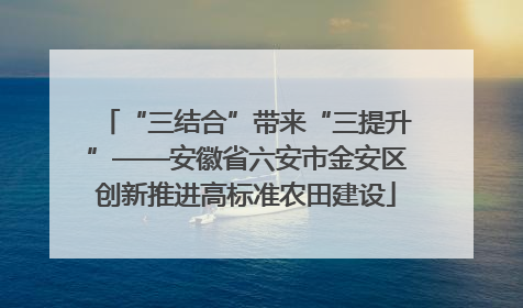 “三结合”带来“三提升”——安徽省六安市金安区创新推进高标准农田建设
