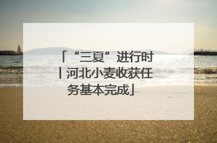 “三夏”进行时丨河北小麦收获任务基本完成