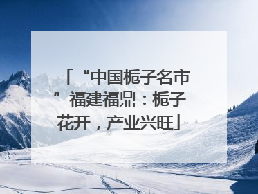 “中国栀子名市”福建福鼎：栀子花开，产业兴旺