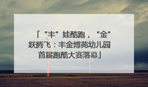 “丰”娃酷跑，“金”跃腾飞：丰金博苑幼儿园首届跑酷大赛落幕