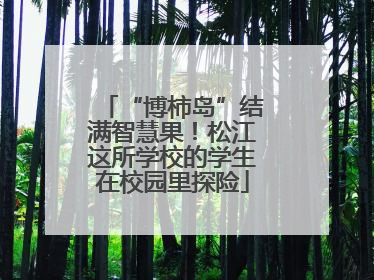 “博柿岛”结满智慧果！松江这所学校的学生在校园里探险