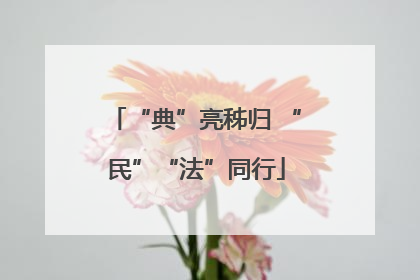 “典”亮秭归 “民”“法”同行