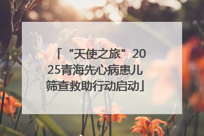 “天使之旅”2025青海先心病患儿筛查救助行动启动