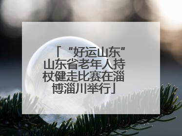 “好运山东”山东省老年人持杖健走比赛在淄博淄川举行