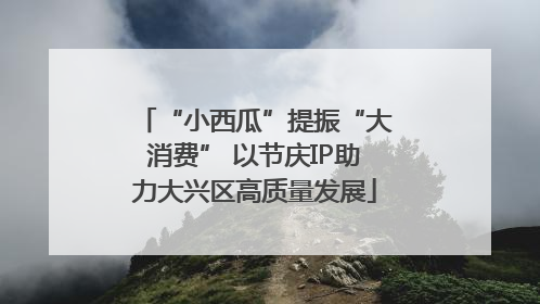 “小西瓜”提振“大消费” 以节庆IP助力大兴区高质量发展