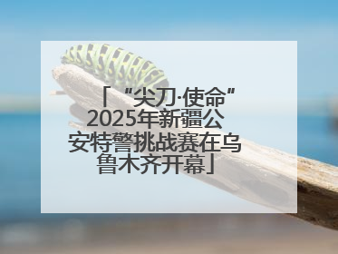 “尖刀·使命”2025年新疆公安特警挑战赛在乌鲁木齐开幕