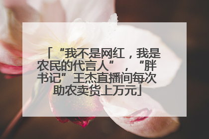 “我不是网红，我是农民的代言人”，“胖书记”王杰直播间每次助农卖货上万元
