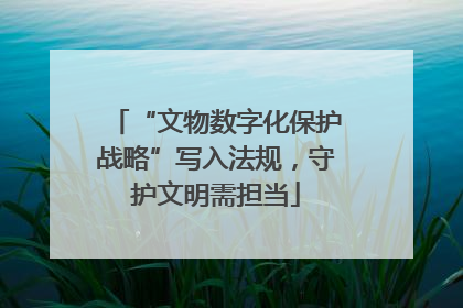 “文物数字化保护战略”写入法规，守护文明需担当