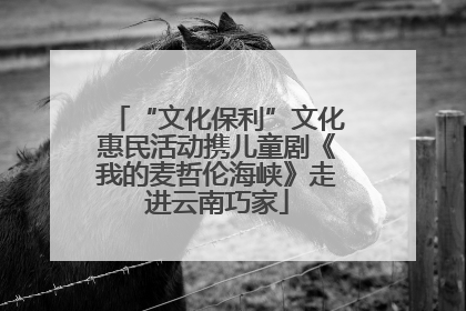 “文化保利”文化惠民活动携儿童剧《我的麦哲伦海峡》走进云南巧家