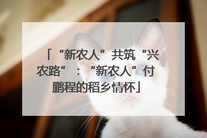 “新农人”共筑“兴农路”：“新农人”付鹏程的稻乡情怀
