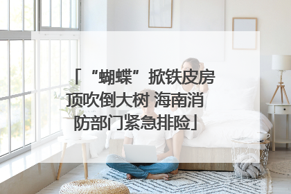 “蝴蝶”掀铁皮房顶吹倒大树 海南消防部门紧急排险