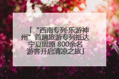 “西南专列·乐游神州”首趟旅游专列抵达宁夏固原 800余名游客开启清凉之旅