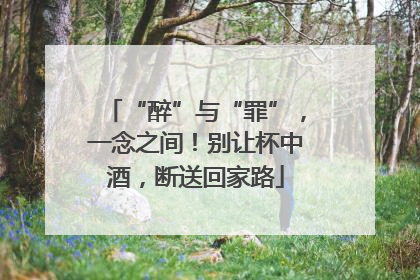 “醉”与“罪”，一念之间！别让杯中酒，断送回家路