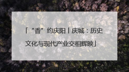 “香”约庆阳丨庆城：历史文化与现代产业交相辉映