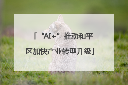 “AI+”推动和平区加快产业转型升级