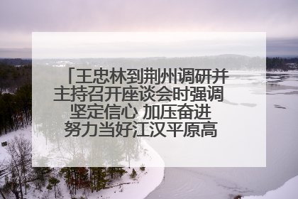 王忠林到荆州调研并主持召开座谈会时强调 坚定信心 加压奋进 努力当好江汉平原高质量发展排头兵