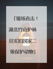 现场直击！湖北竹山护林员实拍国家二级保护动物