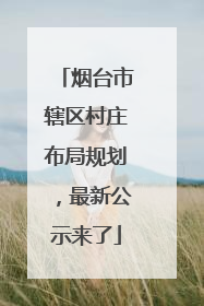 烟台市辖区村庄布局规划，最新公示来了