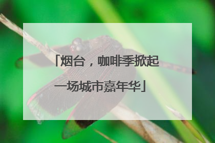 烟台，咖啡季掀起一场城市嘉年华