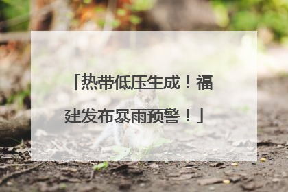 热带低压生成！福建发布暴雨预警！