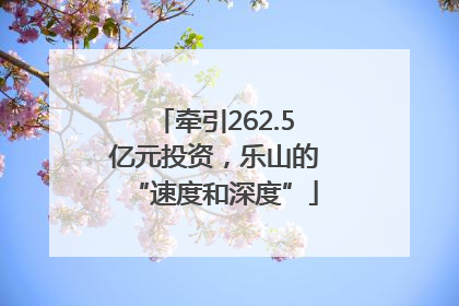 牵引262.5亿元投资，乐山的“速度和深度”