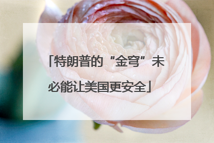 特朗普的“金穹”未必能让美国更安全