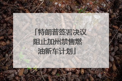 特朗普签署决议 阻止加州禁售燃油新车计划