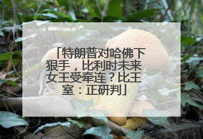 特朗普对哈佛下狠手，比利时未来女王受牵连？比王室：正研判