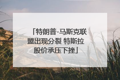特朗普-马斯克联盟出现分裂 特斯拉股价承压下挫