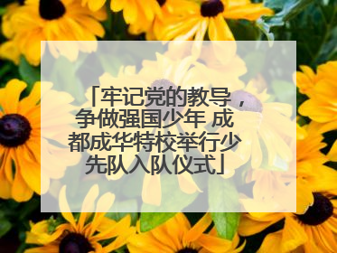 牢记党的教导，争做强国少年 成都成华特校举行少先队入队仪式