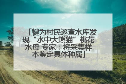 犍为村民巡查水库发现“水中大熊猫”桃花水母 专家：将采集样本鉴定具体种属