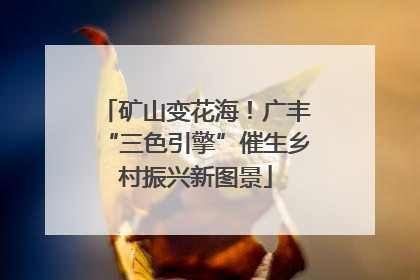 矿山变花海！广丰“三色引擎”催生乡村振兴新图景