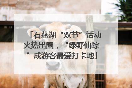 石燕湖“双节”活动火热出圈，“绿野仙踪”成游客最爱打卡地