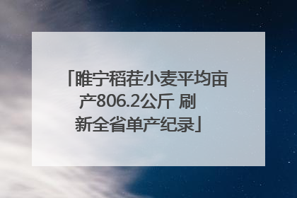 睢宁稻茬小麦平均亩产806.2公斤 刷新全省单产纪录