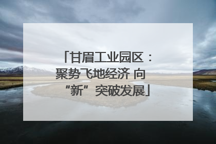 甘眉工业园区：聚势飞地经济 向“新”突破发展