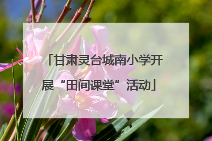 甘肃灵台城南小学开展“田间课堂”活动