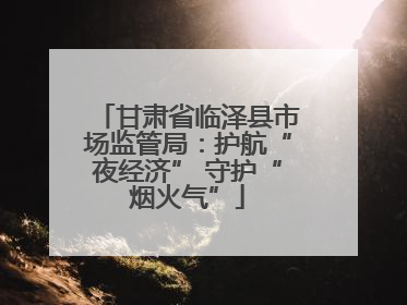 甘肃省临泽县市场监管局：护航“夜经济” 守护“烟火气”