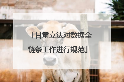 甘肃立法对数据全链条工作进行规范